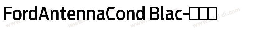 FordAntennaCond Blac字体转换